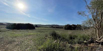 Real Estates picture 3 Ref. 82811