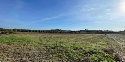 Real Estates picture 1 Ref. 82811