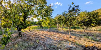 Immobilien picture 5 Ref. Nr. 82999