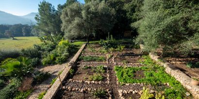 Immobilien picture 21 Ref. Nr. 82946