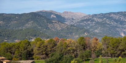 Недвижимость picture 42 Ref 68803