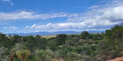 Real Estates picture 0 Ref. 81892