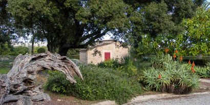 Inmobiliaria picture 23 Ref. Nº. 82866