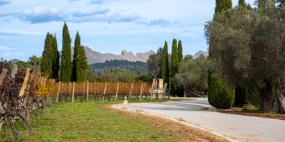 Inmobiliaria picture 11 Ref. Nº. 82866