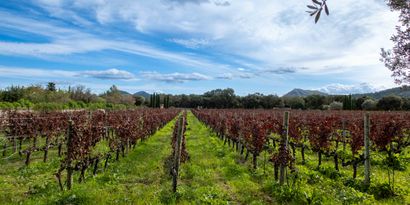 Inmobiliaria picture 12 Ref. Nº. 82866