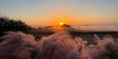 Недвижимость picture 12 Ref R29030