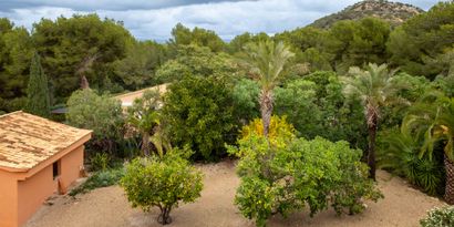 Immobilien picture 25 Ref. Nr. 83020