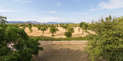 Inmobiliaria picture 18 Ref. Nº. R26784