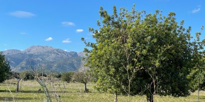 Inmobiliaria picture 2 Ref. Nº. 83024