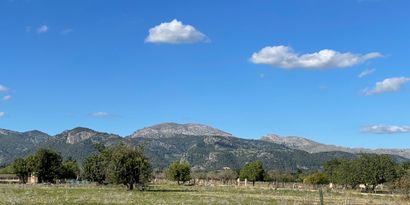 Inmobiliaria picture 1 Ref. Nº. 83024