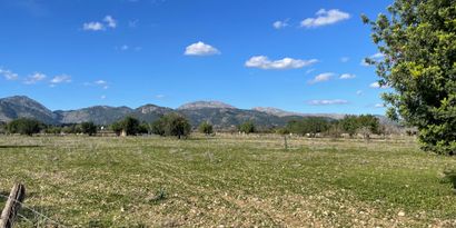 Inmobiliaria picture 0 Ref. Nº. 83024