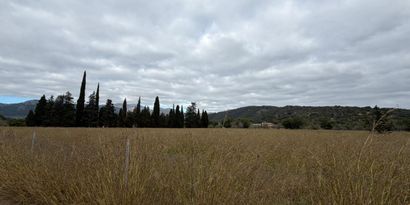 Real Estates picture 6 Ref. 83004