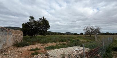 Real Estates picture 4 Ref. 83004