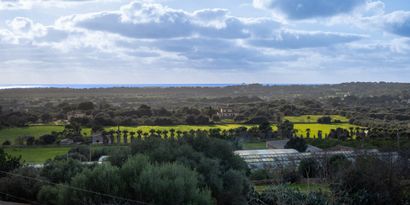 Real Estates picture 30 Ref. 82592