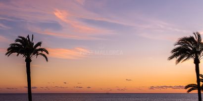 Real Estates picture 28 Ref. 79697