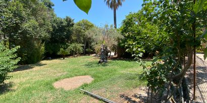 Inmobiliaria picture 8 Ref. Nº. 81730