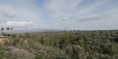 Inmobiliaria picture 4 Ref. Nº. 77387