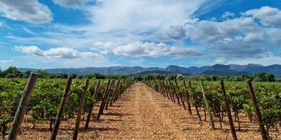 Immobilien picture 0 Ref. Nr. 83185