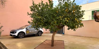 Real Estates picture 24 Ref. 83080