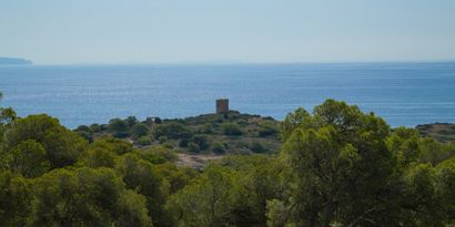 Real Estates picture 21 Ref. 74307