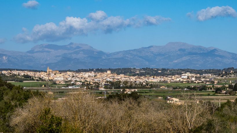 Inmobiliaria Montuïri 24 Ref. Nº. 75390