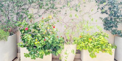 Недвижимость picture 28 Ref R29117