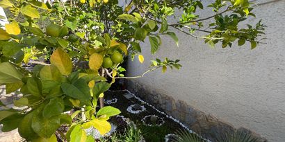 Immobilien picture 26 Ref. Nr. R29288