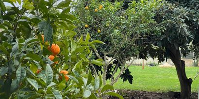 Real Estates picture 3 Ref. 78936