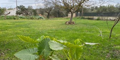 Real Estates picture 23 Ref. 78936