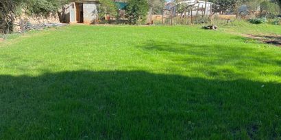 Real Estates picture 5 Ref. 78936