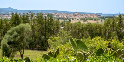 Real Estates picture 19 Ref. 76470