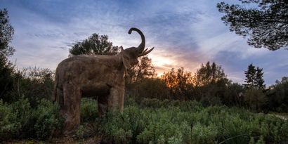 Real Estates picture 27 Ref. 83033