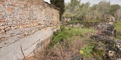 Inmobiliaria picture 30 Ref. Nº. 83358