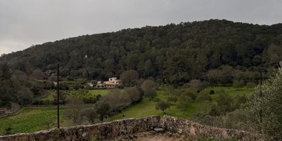 Inmobiliaria picture 26 Ref. Nº. 83358