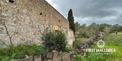 Inmobiliaria picture 13 Ref. Nº. 83358