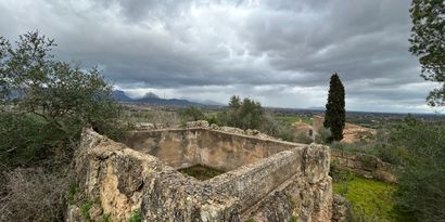 Inmobiliaria picture 2 Ref. Nº. 83358