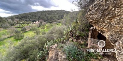 Inmobiliaria picture 1 Ref. Nº. 83358