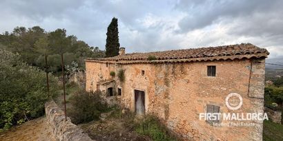 Inmobiliaria picture 4 Ref. Nº. 83358