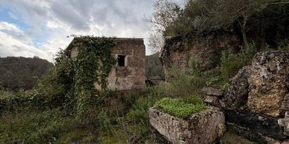 Inmobiliaria picture 17 Ref. Nº. 83358