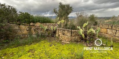 Inmobiliaria picture 40 Ref. Nº. 83358