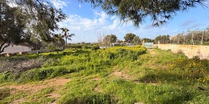 Inmobiliaria picture 2 Ref. Nº. 81587