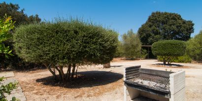 Inmobiliaria picture 21 Ref. Nº. R29385