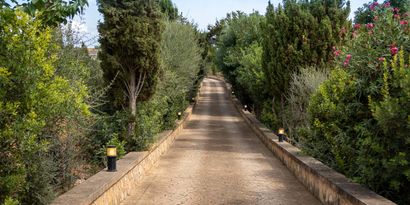 Inmobiliaria picture 23 Ref. Nº. R29373