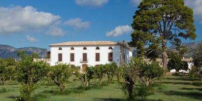 Immobilien picture 0 Ref. Nr. 83292