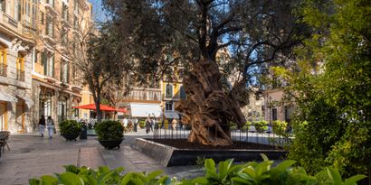 Immobilien picture 12 Ref. Nr. 83426