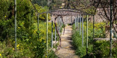 Real Estates picture 19 Ref. 83351