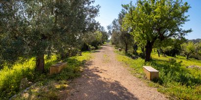 Real Estates picture 15 Ref. 83351