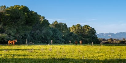 Inmobiliaria picture 22 Ref. Nº. 81580