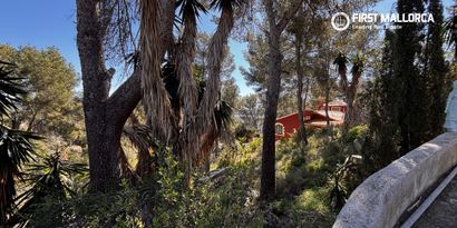 Real Estates picture 2 Ref. 83397