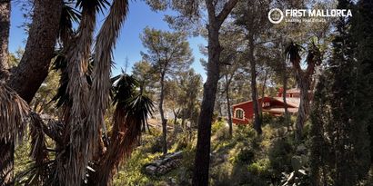 Real Estates picture 1 Ref. 83397